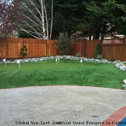 Synthetic Lawn Brown Deer, Wisconsin Putting Green, Backyard Garden Ideas