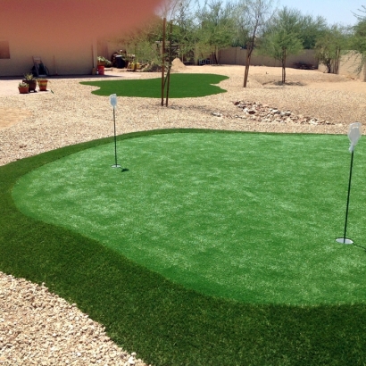 Synthetic Lawn Dickeyville, Wisconsin Golf Green, Backyard Landscaping