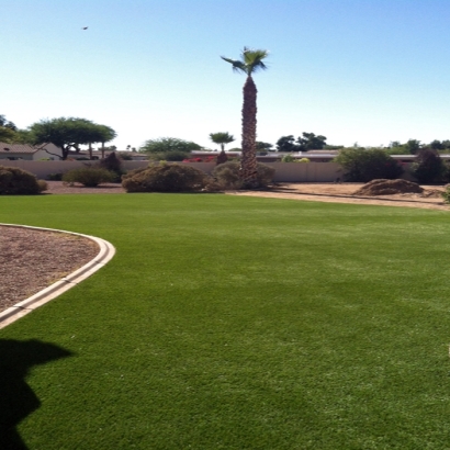 Synthetic Lawn Eagle, Wisconsin Gardeners, Backyards