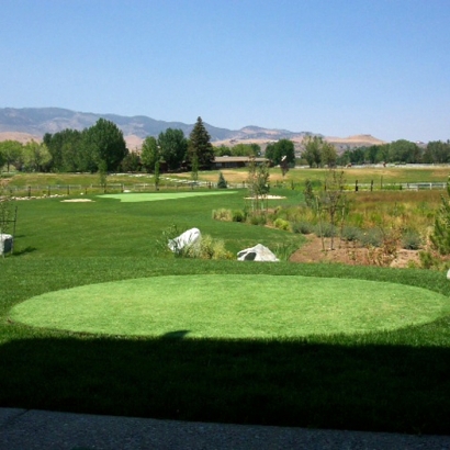 Synthetic Lawn Embarrass, Wisconsin Office Putting Green, Backyard Landscaping Ideas