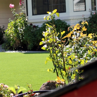 Synthetic Lawn Kendall, Wisconsin Lawn And Landscape, Front Yard Landscaping Ideas