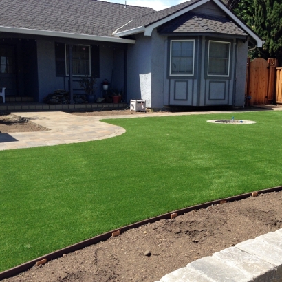Synthetic Lawn Kohler, Wisconsin Gardeners, Front Yard Design