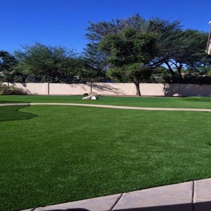Synthetic Lawn Lowell, Wisconsin Landscaping Business, Small Front Yard Landscaping