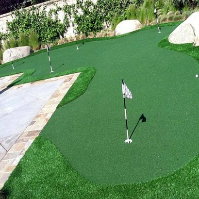 Synthetic Lawn Milton, Wisconsin Golf Green, Backyard Landscape Ideas