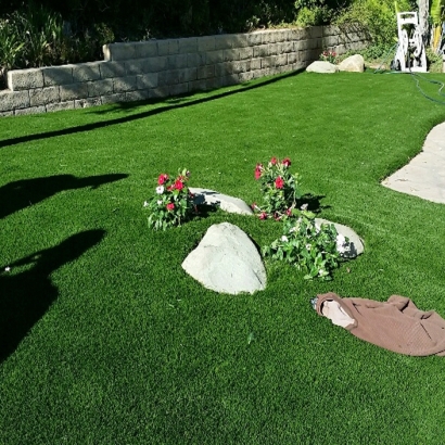 Synthetic Lawn Plover, Wisconsin Home And Garden, Front Yard
