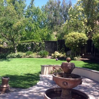 Synthetic Lawn Sullivan, Wisconsin Landscape Ideas, Backyard Garden Ideas