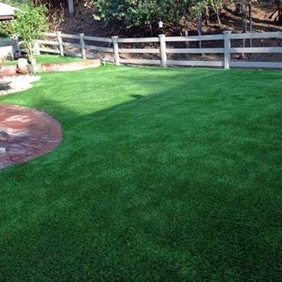 Synthetic Lawn Theresa, Wisconsin Artificial Turf For Dogs, Backyards