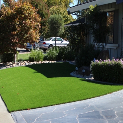 Synthetic Turf Blue River, Wisconsin Design Ideas, Front Yard Landscaping Ideas