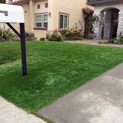 Synthetic Turf Brownsville, Wisconsin Home And Garden, Landscaping Ideas For Front Yard