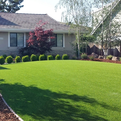 Synthetic Turf Clinton, Wisconsin City Landscape, Front Yard Ideas