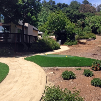 Synthetic Turf Clinton, Wisconsin Home And Garden, Small Front Yard Landscaping