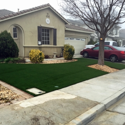 Synthetic Turf Dale, Wisconsin Design Ideas, Front Yard Design