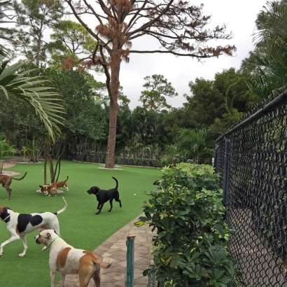 Synthetic Turf Friesland, Wisconsin Cat Playground, Commercial Landscape