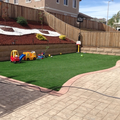 Synthetic Turf Hollandale, Wisconsin Playground Flooring, Small Backyard Ideas