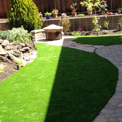 Synthetic Turf King, Wisconsin Home And Garden