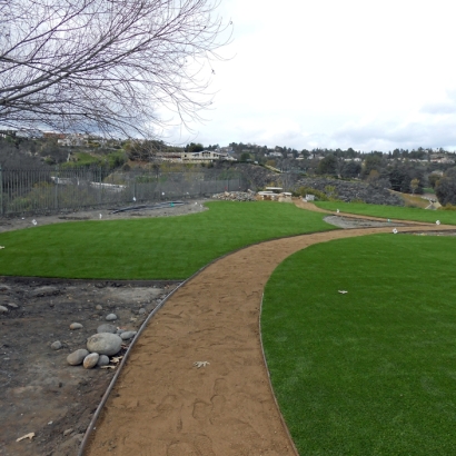 Synthetic Turf Lohrville, Wisconsin Landscaping