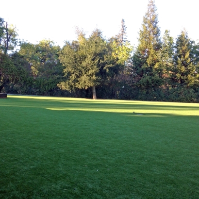 Synthetic Turf Marshall, Wisconsin Design Ideas, Recreational Areas