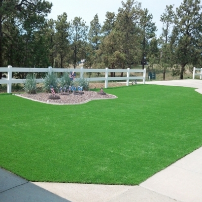 Synthetic Turf Newburg, Wisconsin Landscaping, Landscaping Ideas For Front Yard