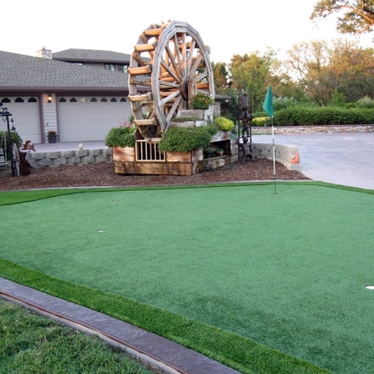 Synthetic Turf Plainfield, Wisconsin Backyard Putting Green, Landscaping Ideas For Front Yard