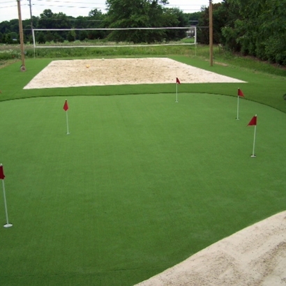 Synthetic Turf Supplier Brownsville, Wisconsin Roof Top, Backyard Design