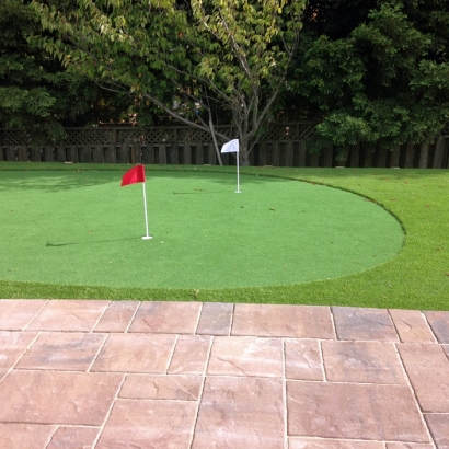 Synthetic Turf Supplier Egg Harbor, Wisconsin Gardeners, Backyard Garden Ideas