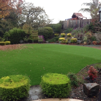 Synthetic Turf Supplier Hales Corners, Wisconsin Gardeners, Backyard Designs