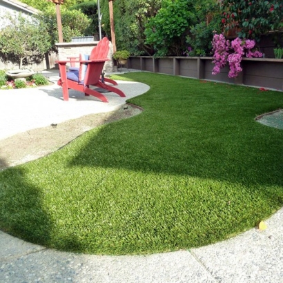 Synthetic Turf Supplier Hortonville, Wisconsin Dog Pound, Small Backyard Ideas