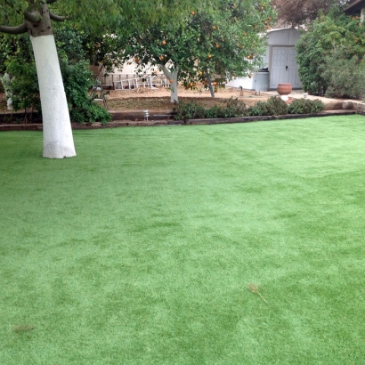 Synthetic Turf Supplier Little Sturgeon, Wisconsin Rooftop, Backyard Garden Ideas