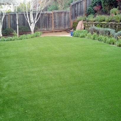 Synthetic Turf Supplier Neshkoro, Wisconsin Backyard Deck Ideas, Backyard Landscape Ideas