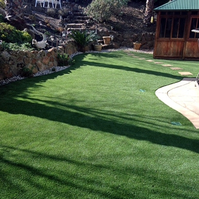 Synthetic Turf Supplier Omro, Wisconsin Landscape Photos, Backyard Landscaping