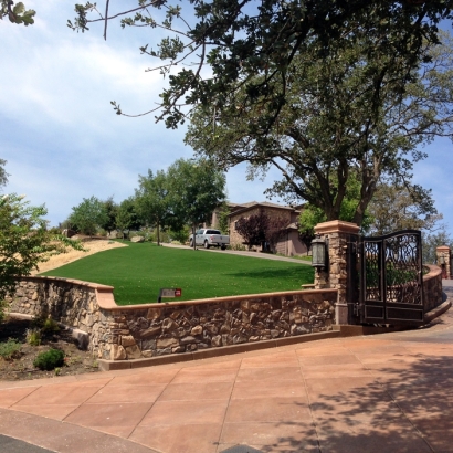 Synthetic Turf Supplier Viola, Wisconsin Lawns, Front Yard