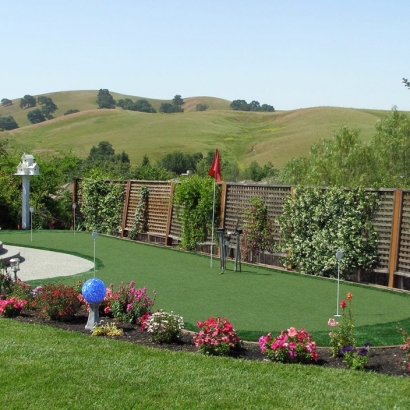 Synthetic Turf Supplier Walworth, Wisconsin Lawns, Backyard Garden Ideas