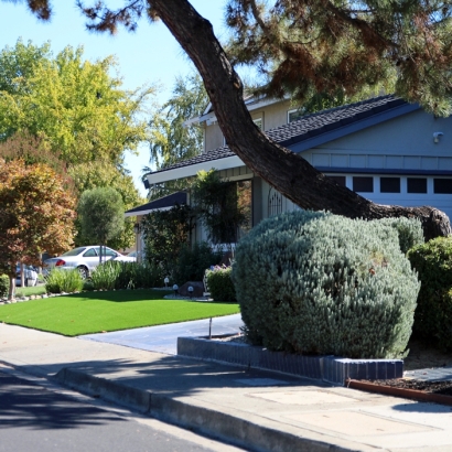 Synthetic Turf Supplier Yuba, Wisconsin Lawns, Front Yard
