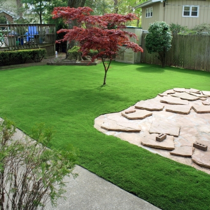 Turf Grass Blue Mounds, Wisconsin Roof Top, Small Backyard Ideas