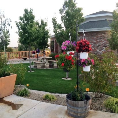 Turf Grass Burlington, Wisconsin Landscape Ideas, Commercial Landscape