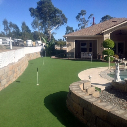 Turf Grass East Troy, Wisconsin Golf Green, Backyard Makeover