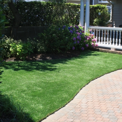 Turf Grass Evergreen, Wisconsin Artificial Turf For Dogs, Landscaping Ideas For Front Yard