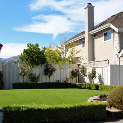 Turf Grass Port Edwards, Wisconsin Backyard Playground, Front Yard Landscape Ideas