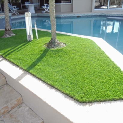Turf Grass Waterford, Wisconsin Lawns, Backyard Makeover