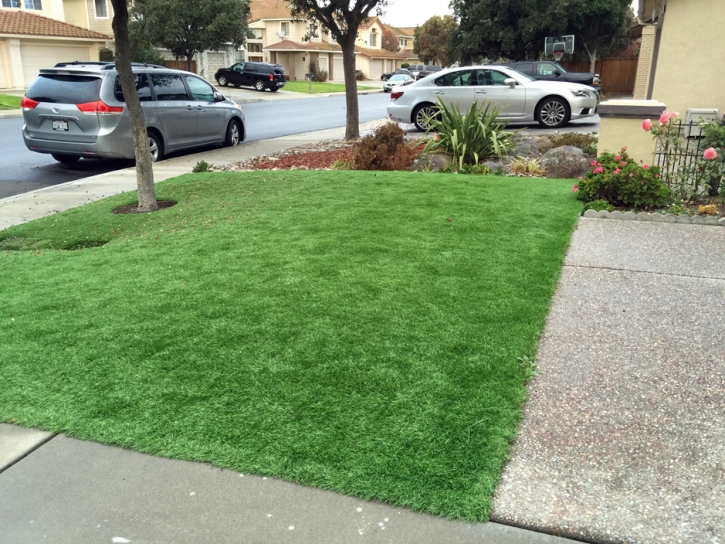 Artificial Grass Saint Cloud, Wisconsin Landscape Design, Front Yard Design