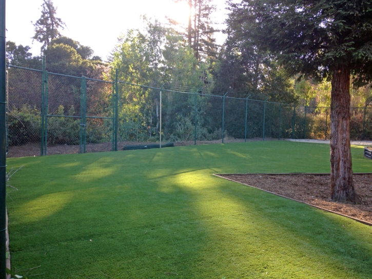 Artificial Grass Springfield, Wisconsin Lawn And Garden, Parks