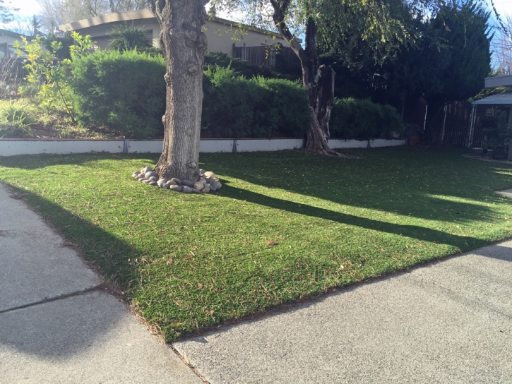 Artificial Lawn Francis Creek, Wisconsin City Landscape, Front Yard Landscape Ideas