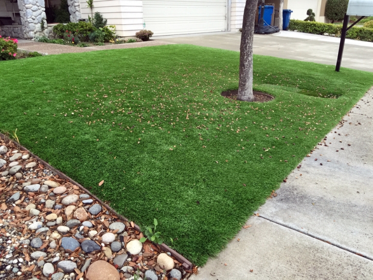 Artificial Lawn Marshall, Wisconsin Lawn And Landscape, Front Yard Design