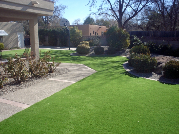 Artificial Lawn Union Grove, Wisconsin Landscape Design, Landscaping Ideas For Front Yard