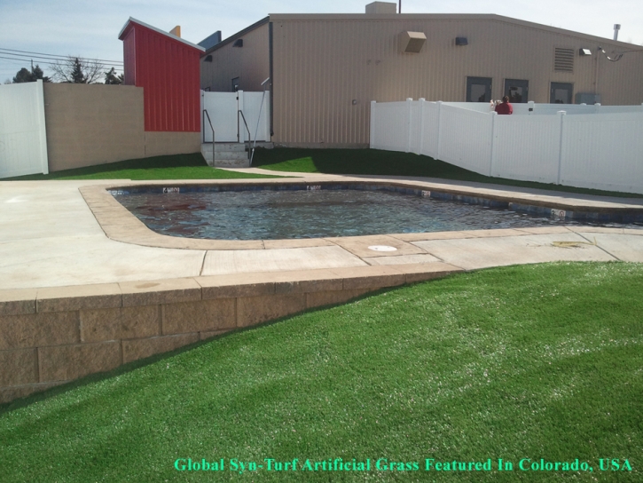 Artificial Turf Brookfield, Wisconsin Gardeners, Natural Swimming Pools