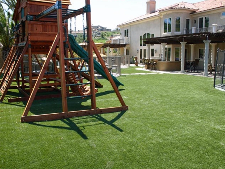 Artificial Turf Cost Campbellsport, Wisconsin City Landscape, Beautiful Backyards