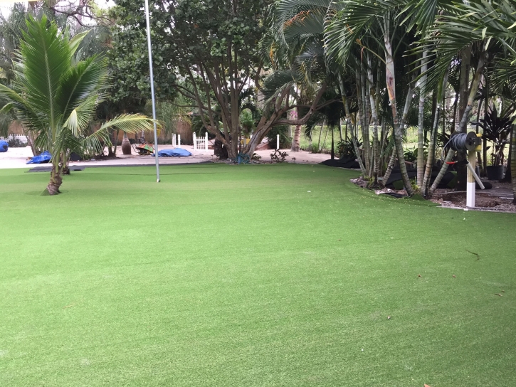 Artificial Turf Cost Ridgeway, Wisconsin Garden Ideas, Commercial Landscape