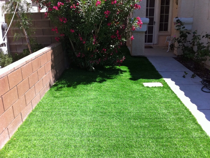 Artificial Turf Endeavor, Wisconsin Lawn And Garden, Front Yard Design