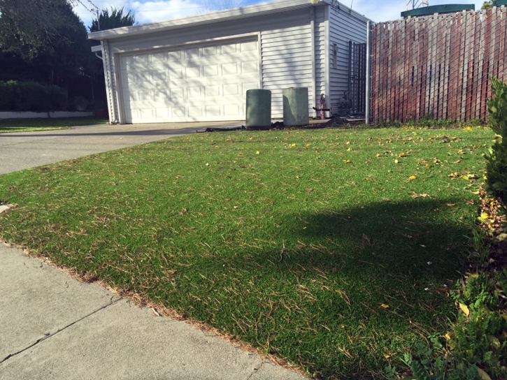 Artificial Turf Installation Butte des Morts, Wisconsin Gardeners, Front Yard
