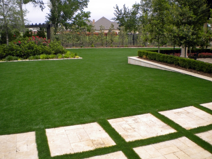 Artificial Turf Port Washington, Wisconsin Design Ideas, Backyards